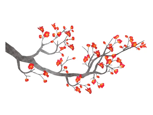 Plum flower icon　spring — ストックベクタ